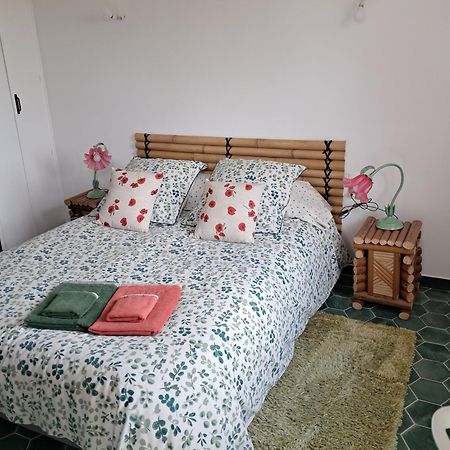Gentil Coquelicot Appartement Mirepoix  Buitenkant foto