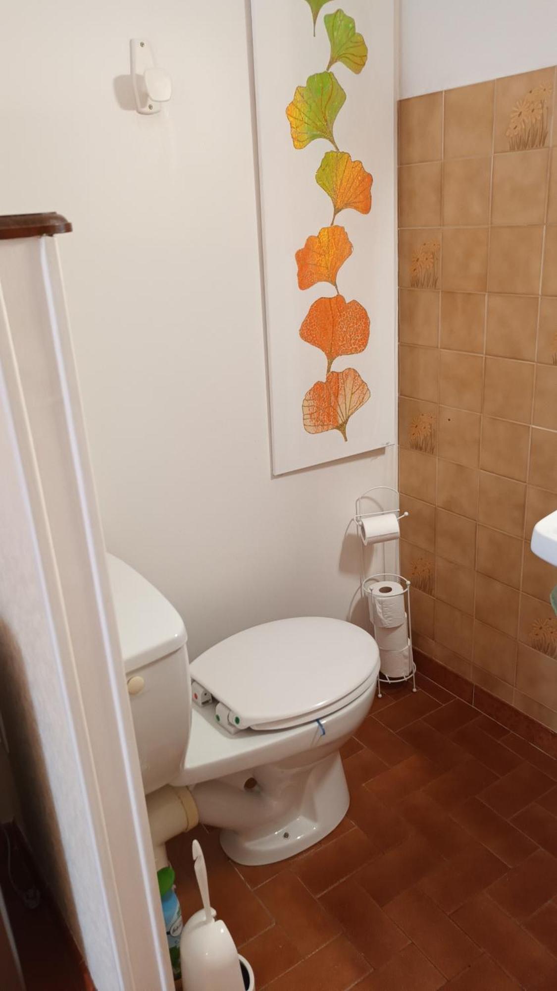 Gentil Coquelicot Appartement Mirepoix  Buitenkant foto