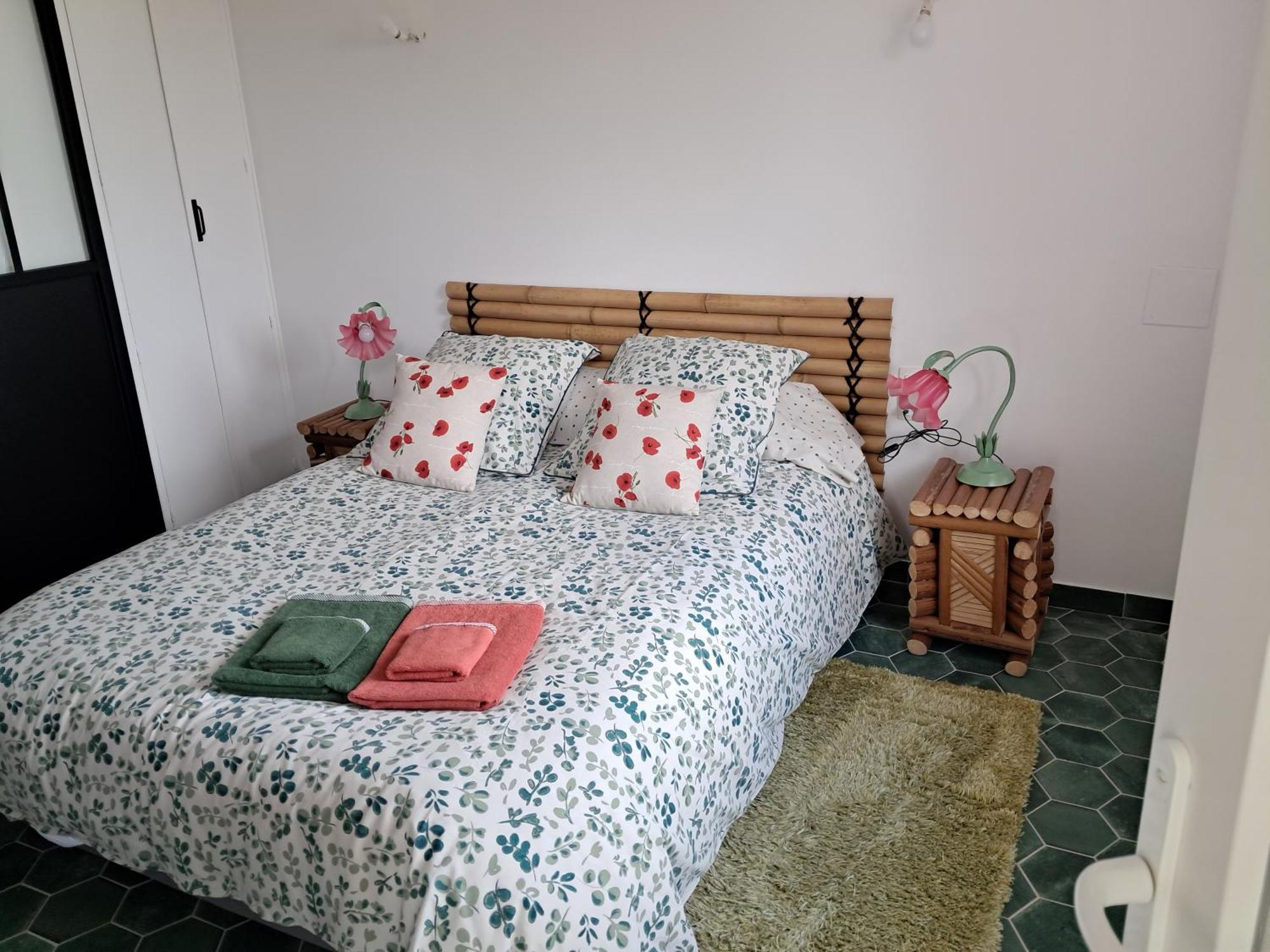 Gentil Coquelicot Appartement Mirepoix  Buitenkant foto
